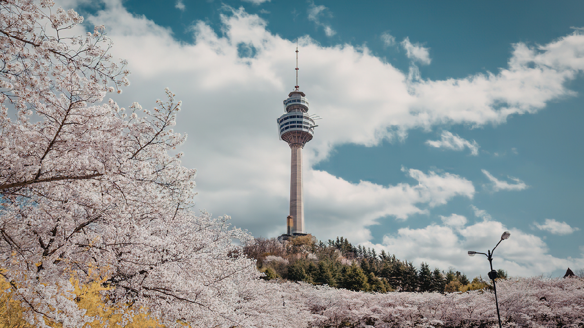 Travel photo of Seoul, South Korea